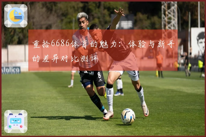 重拾6686体育的魅力：体验与新手的差异对比测评