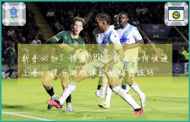 新手必知！博鱼APP下载后如何快速上手，提升游戏体验的秘密技巧