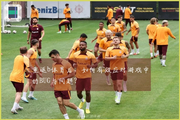 重返b体育后，如何有效应对游戏中的BUG与问题？